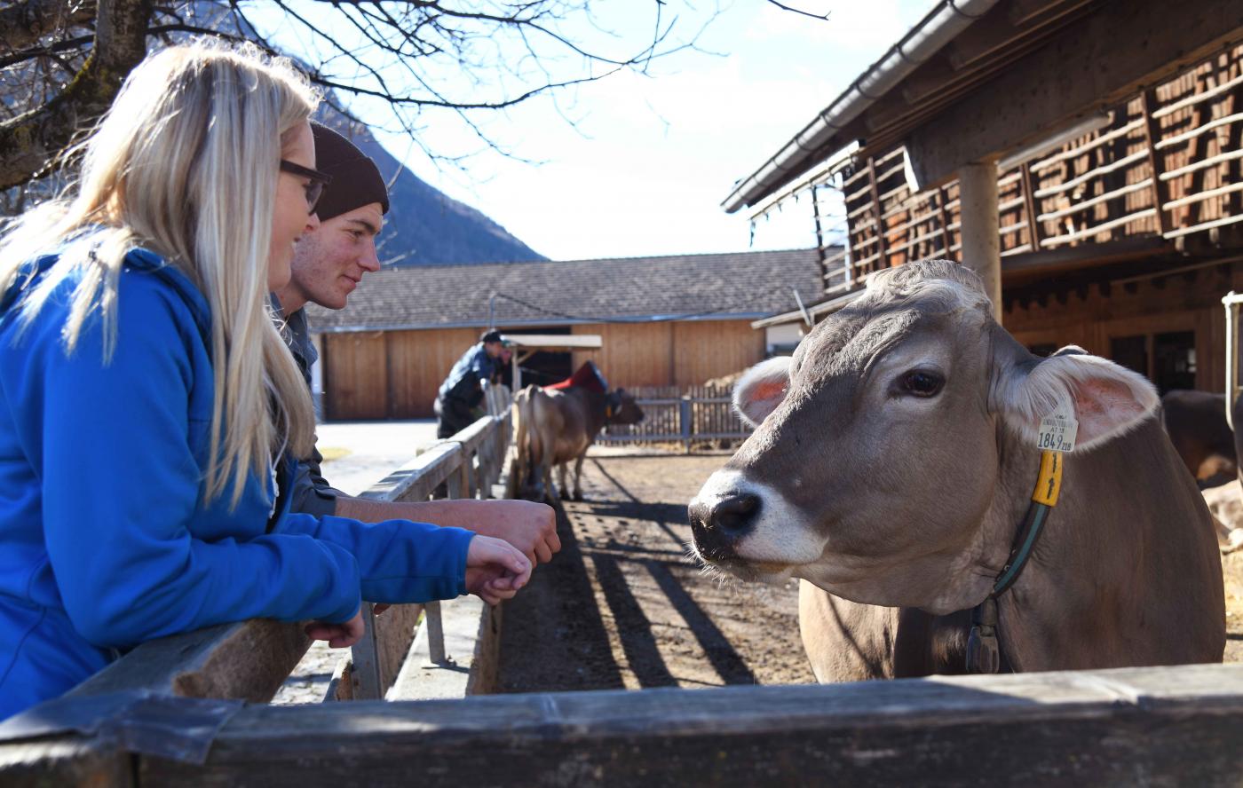 Schüler und Schülerin mit Kalb