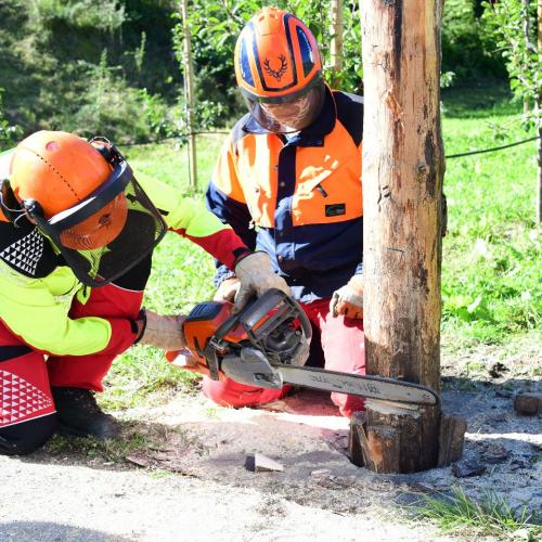 PU Forstwirtschaft FSL