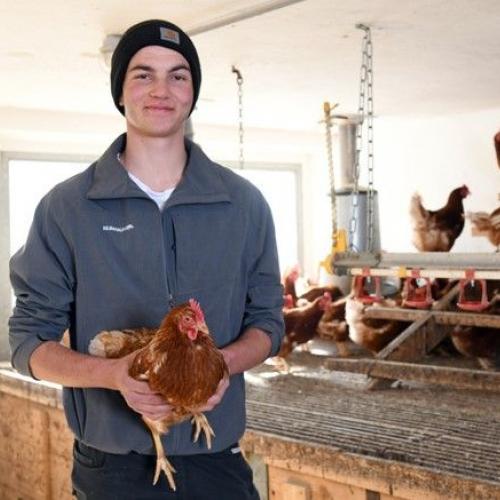 Schwerpunkt Landwirtschaft - Lehrbetrieb FSL