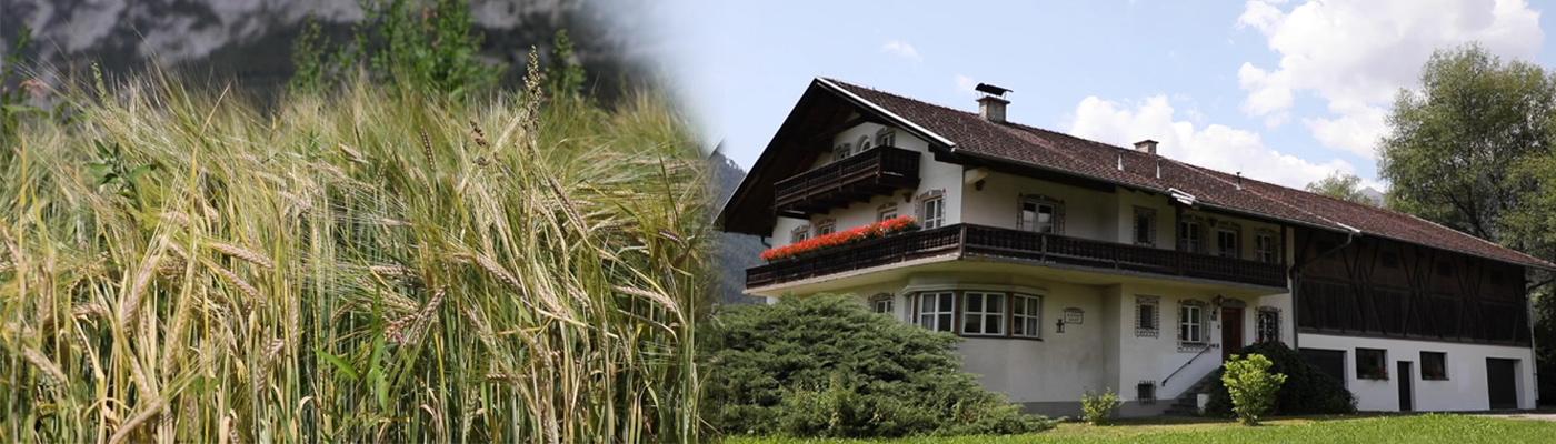 © LLA-Imst hOF UND GETREIDE