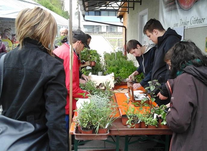 Kunden beim Einkauf im Gartenbau