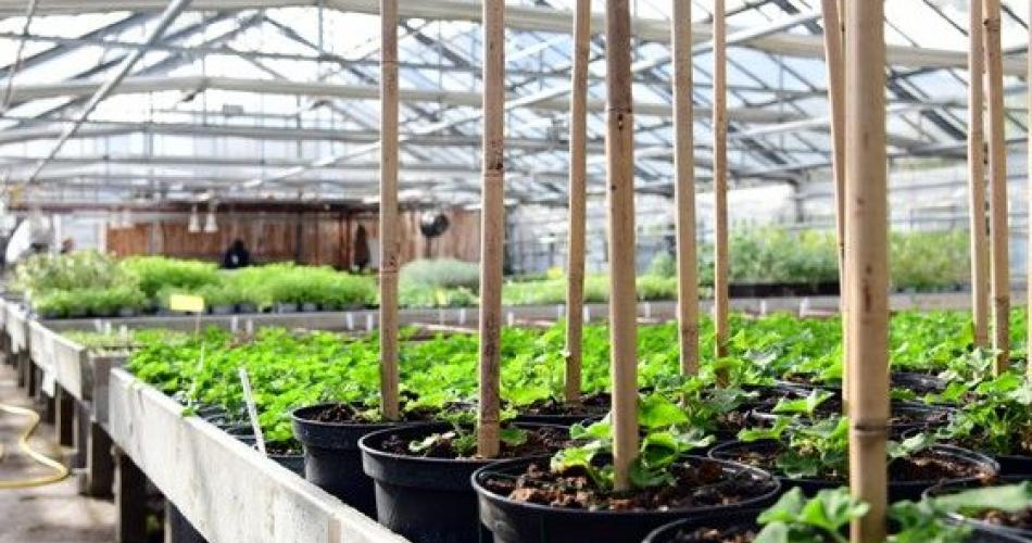 Gärtnerei Lehrwerkstätte FSL