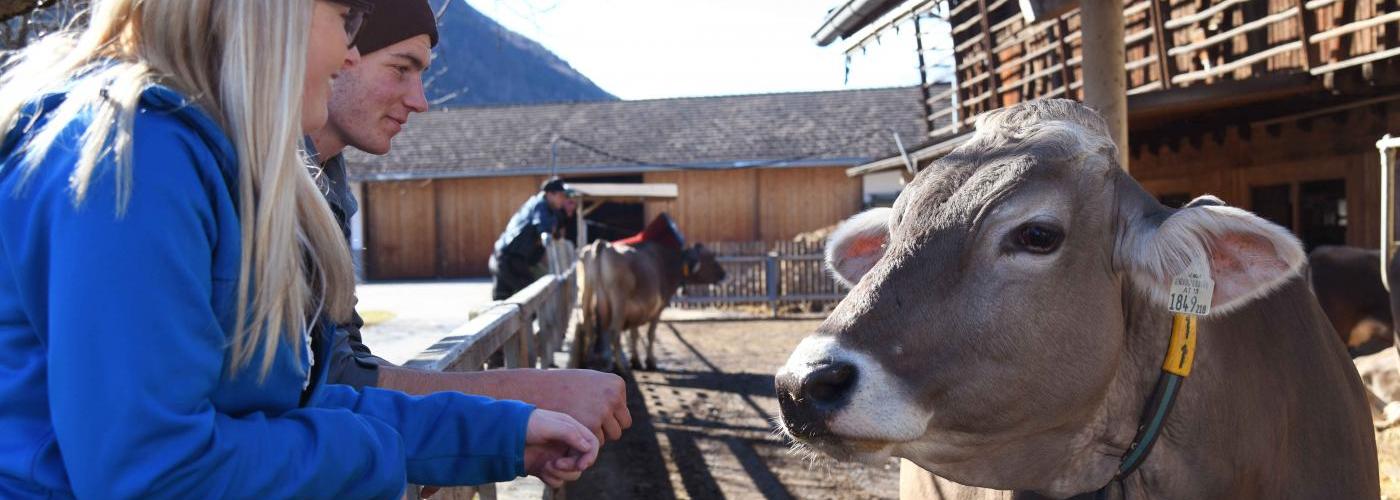 Schüler und Schülerin mit Kalb