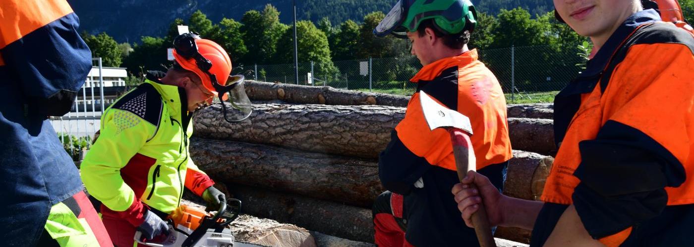 Schüler bei der Forstpraxis beim Holzschneiden mit der Motorsäge